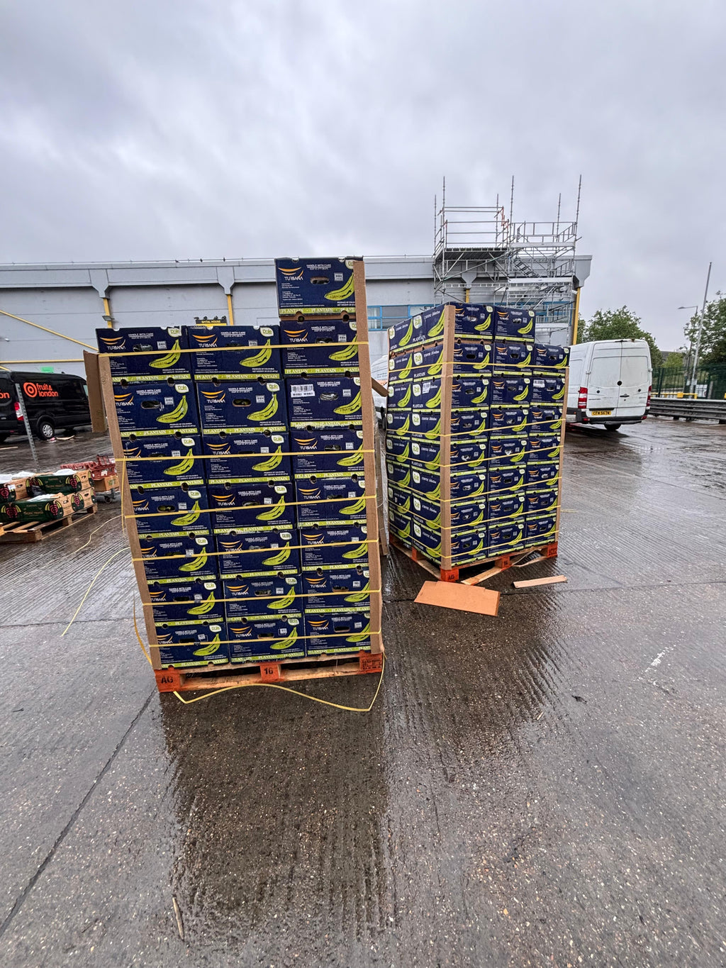 RIPE PLANTAIN 22.7 kg