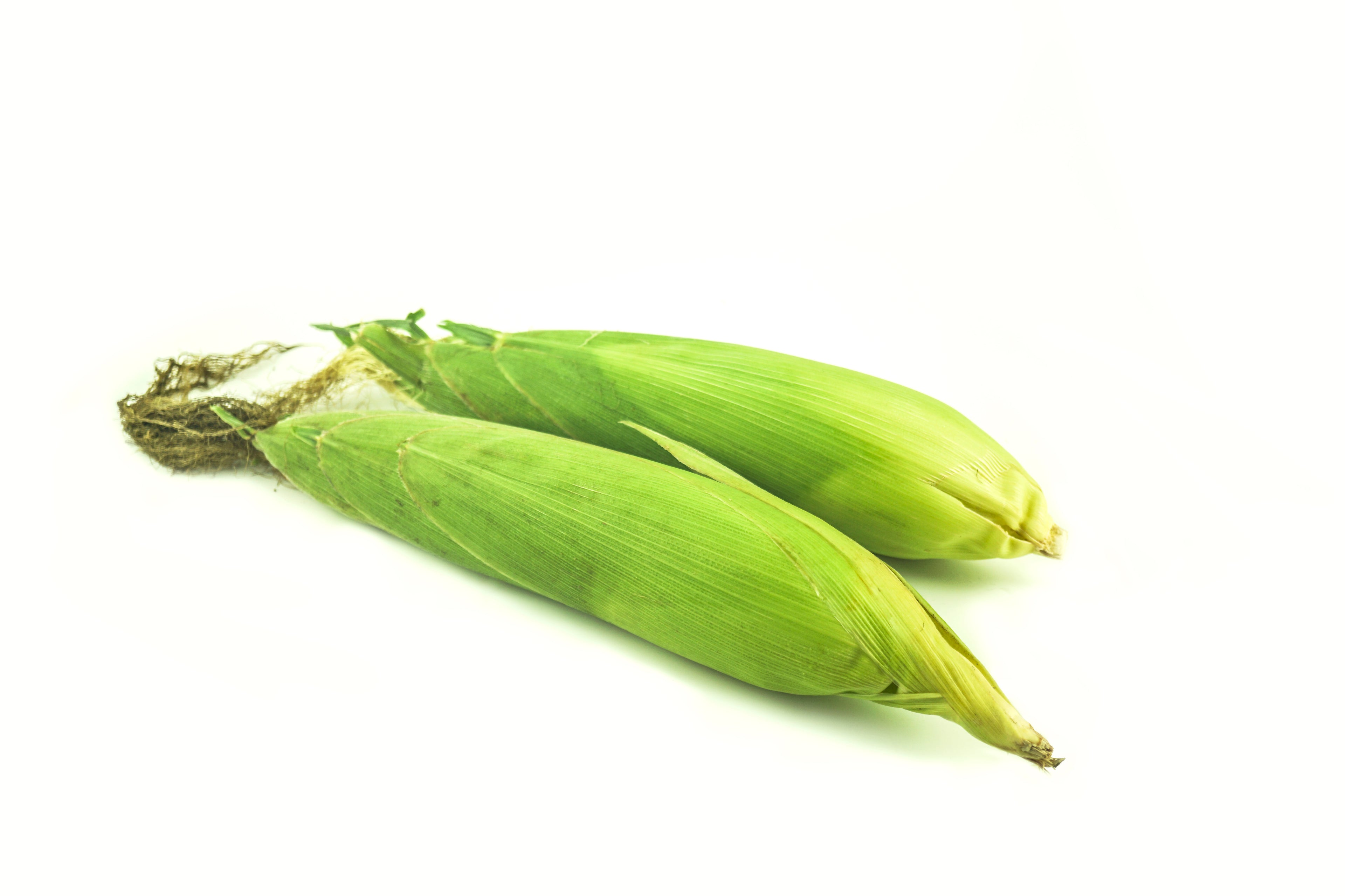 SWEET CORN