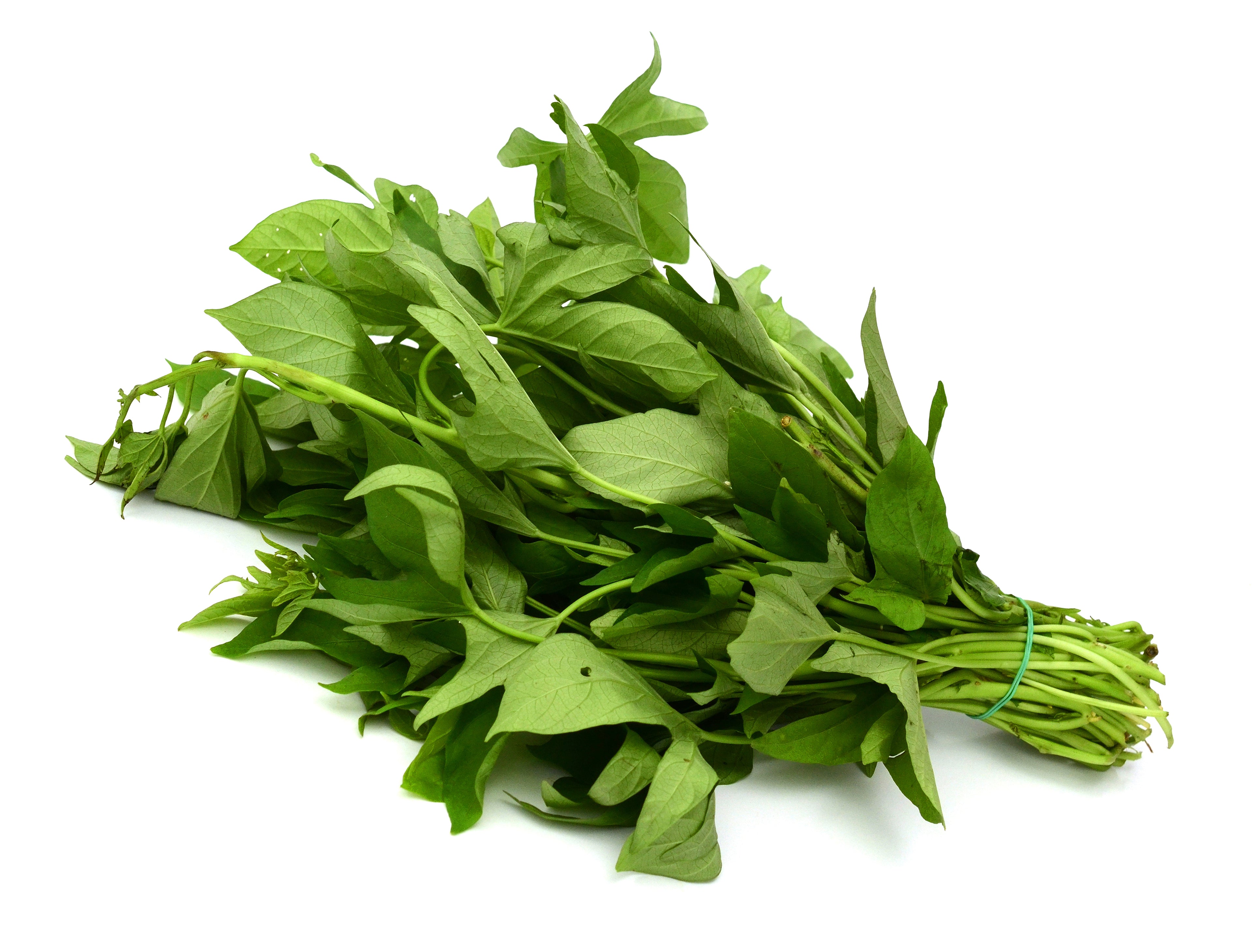 SWEET POTATO LEAVES